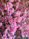 Kunstplant - Prunus - Kersenbloesem - Roze - 210cm