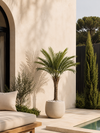 UV Kunstpalm Deluxe 150 cm