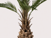 UV Kunstpalm Phoenix 150 cm