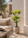 UV Kunstpalm Washingtonia 120 cm