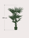 UV Kunstpalm Washingtonia 120 cm