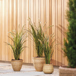 Heeft een kunstplant echt geen onderhoud?