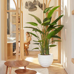 Wat zijn de voordelen van het hebben van kunstplanten?