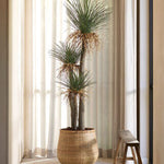 Waarom kunstplanten de ideale oplossing zijn voor je vakantiewoning