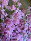 Kunstplant - Prunus - Kersenbloesem - Roze - 210cm