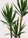 UV Kunst Yucca 150 cm