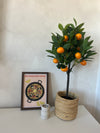 Kunstplant Sinaasappelboom 75 cm