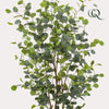 Kunstplant - Eucalyptus - Blauwe Gomboom- 140 cm