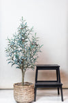 Kunst Olijfboom -Olea europaea - Olijfboom - 115 cm