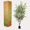 Kunstplant - Eucalyptus - Blauwe Gomboom- 140 cm