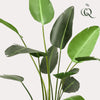 Kunstplant - Strelitzia Nicolai - Paradijsvogelbloem -230cm