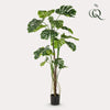 kunstplant - Monstera- Gatenplant - 180cm