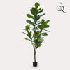kunstplant - Ficus Lyrata- Tabaksplant - 150cm