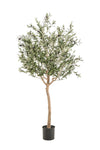 Kunst Olijfboom -Olea europaea - Olijfboom - 180 cm