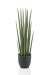 Kunstplant - Sanseveria Cylindrica - Vrouwentong - 70 cm