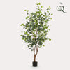 Kunstplant - Eucalyptus - Blauwe Gomboom- 140 cm