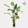 Kunstplant - Strelitzia Nicolai - Paradijsvogelbloem -230cm