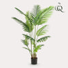 Kunstplant - Howea Forsteriana- 160 cm