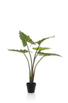 Kunstplant - Alocasia Frydek - Olifantsoor - 80 cm