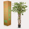kunstplant - Ficus liana- Vioolbladplant - 140cm