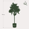 Kunstplant - Citrus Sinensis - Sinaasappelboom - 75 cm