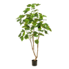 Kunstplant - Ficus umbellate - Afrikaanse vijg - 180cm