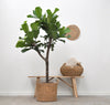 Rieten Plantenmand Jack 26x23 cm